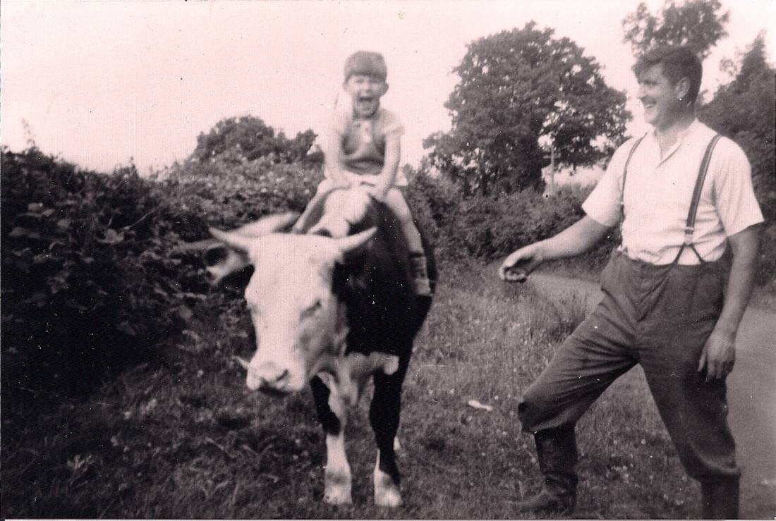 A boy riding a bullock down a Shropshire lane while a man walks alongside, on the family smallholding.